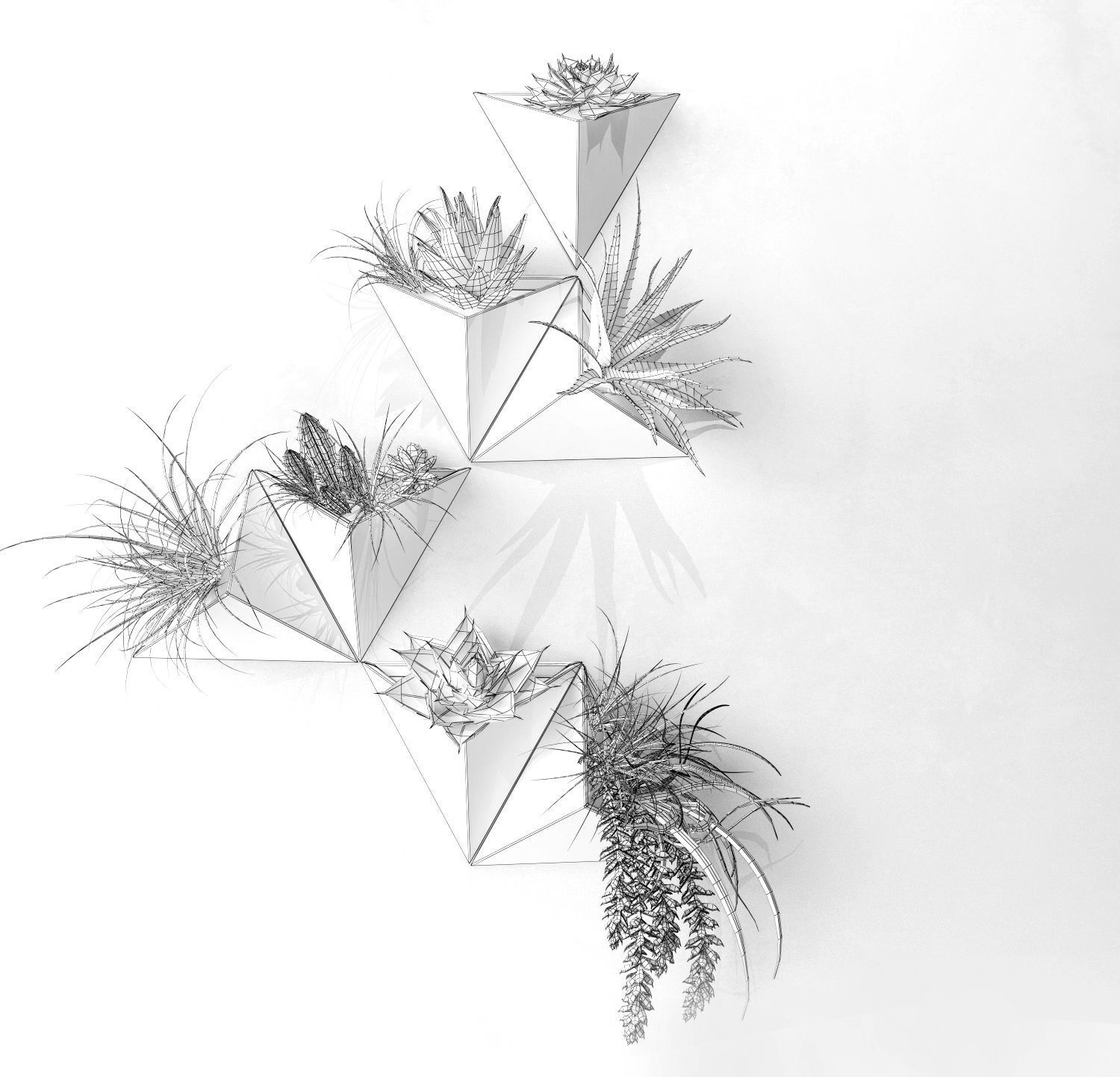 Plant on the wall Low-poly 3D model_4