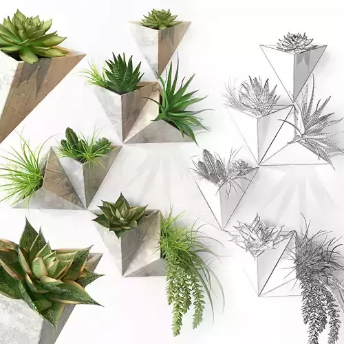Plant on the wall Low-poly 3D model