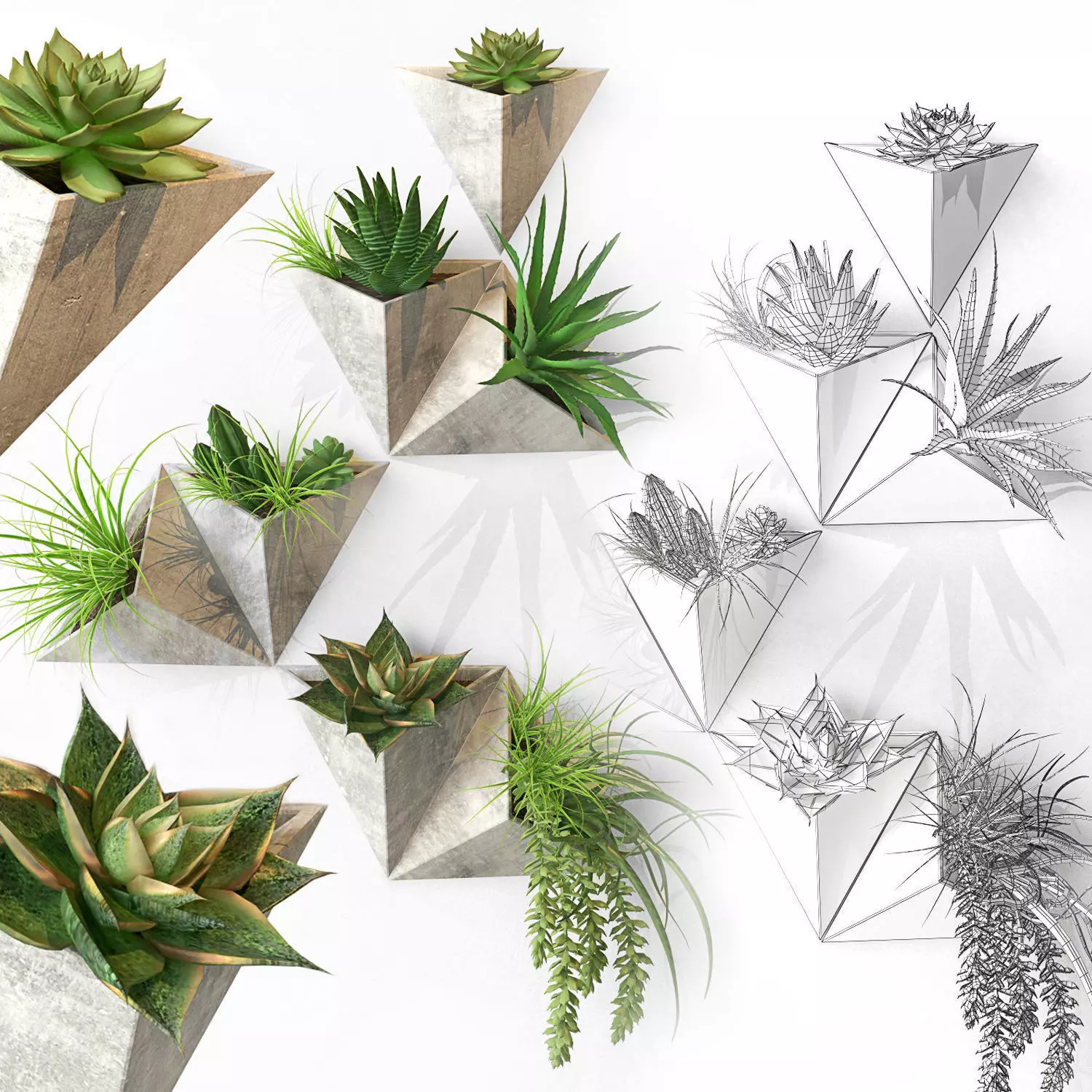 Plant on the wall Low-poly 3D model_0