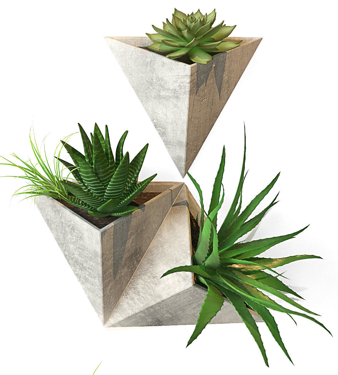 Plant on the wall Low-poly 3D model_1