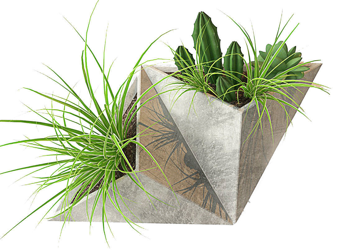 Plant on the wall Low-poly 3D model_3