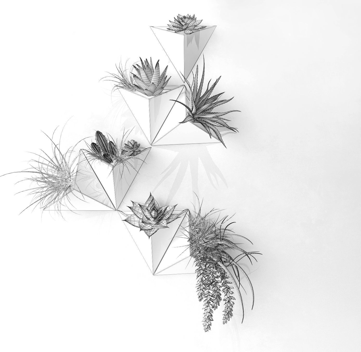 Plant on the wall Low-poly 3D model_5