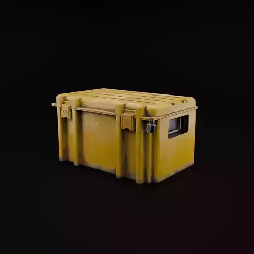 Counter Strike 2 Case