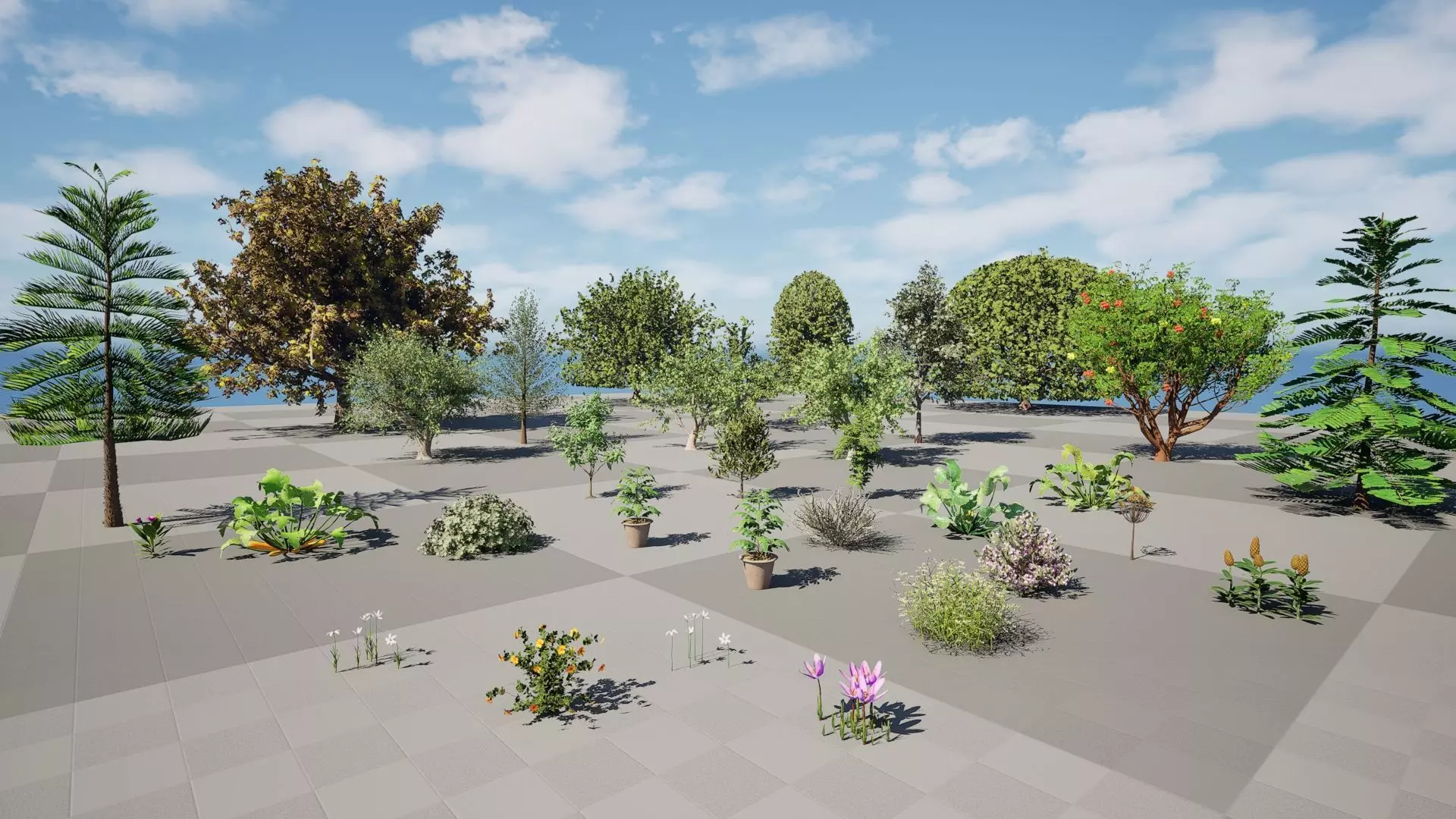 Moroccan Tree Pack Plants and Arid Flora 3d Collection _14