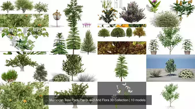 Moroccan Tree Pack Plants and Arid Flora 3d Collection