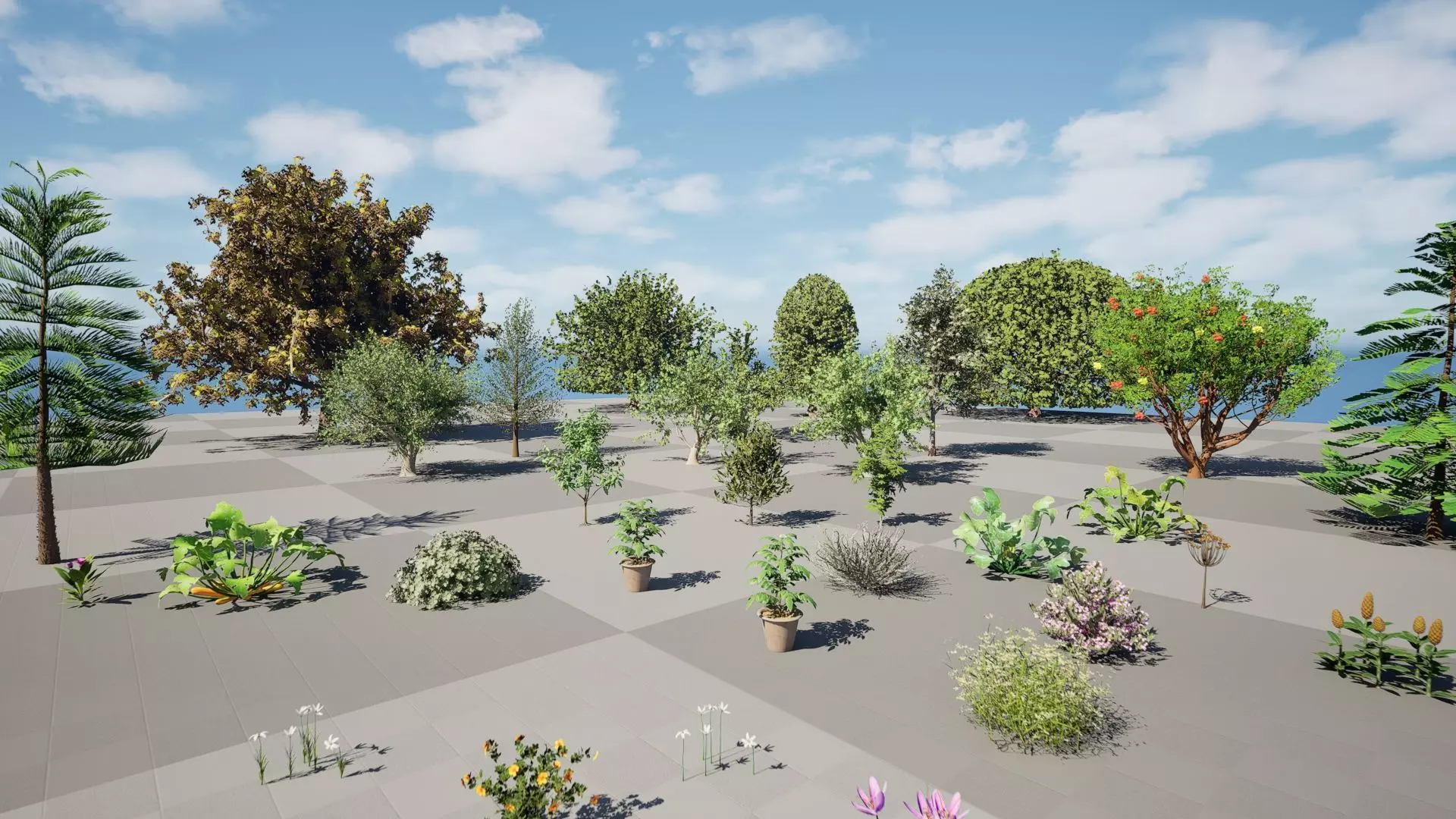 Moroccan Tree Pack Plants and Arid Flora 3d Collection _16