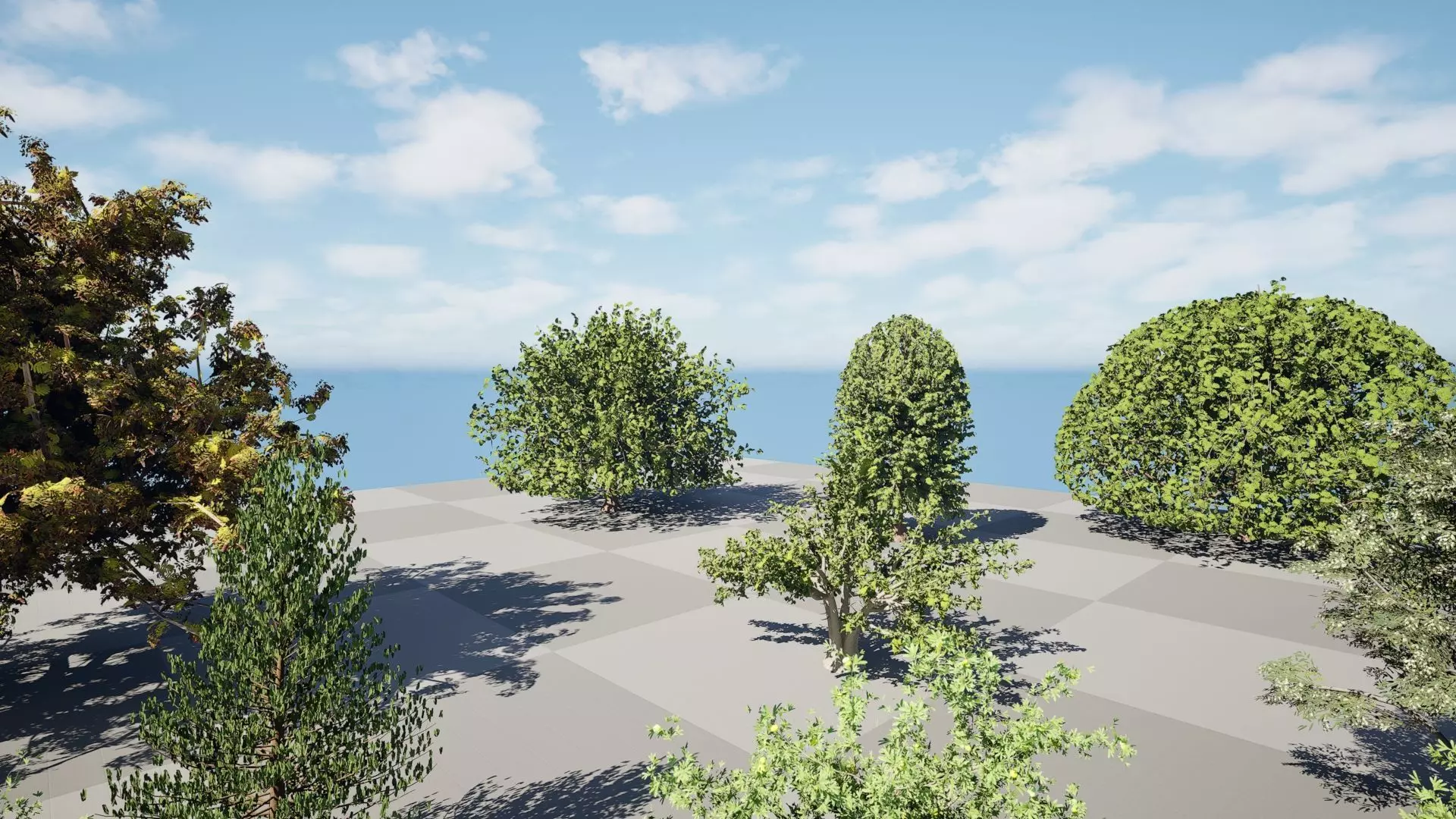 Moroccan Tree Pack Plants and Arid Flora 3d Collection _18
