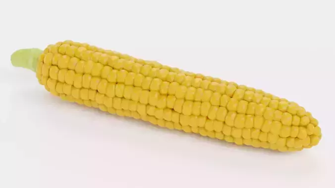 - Corn V2- 