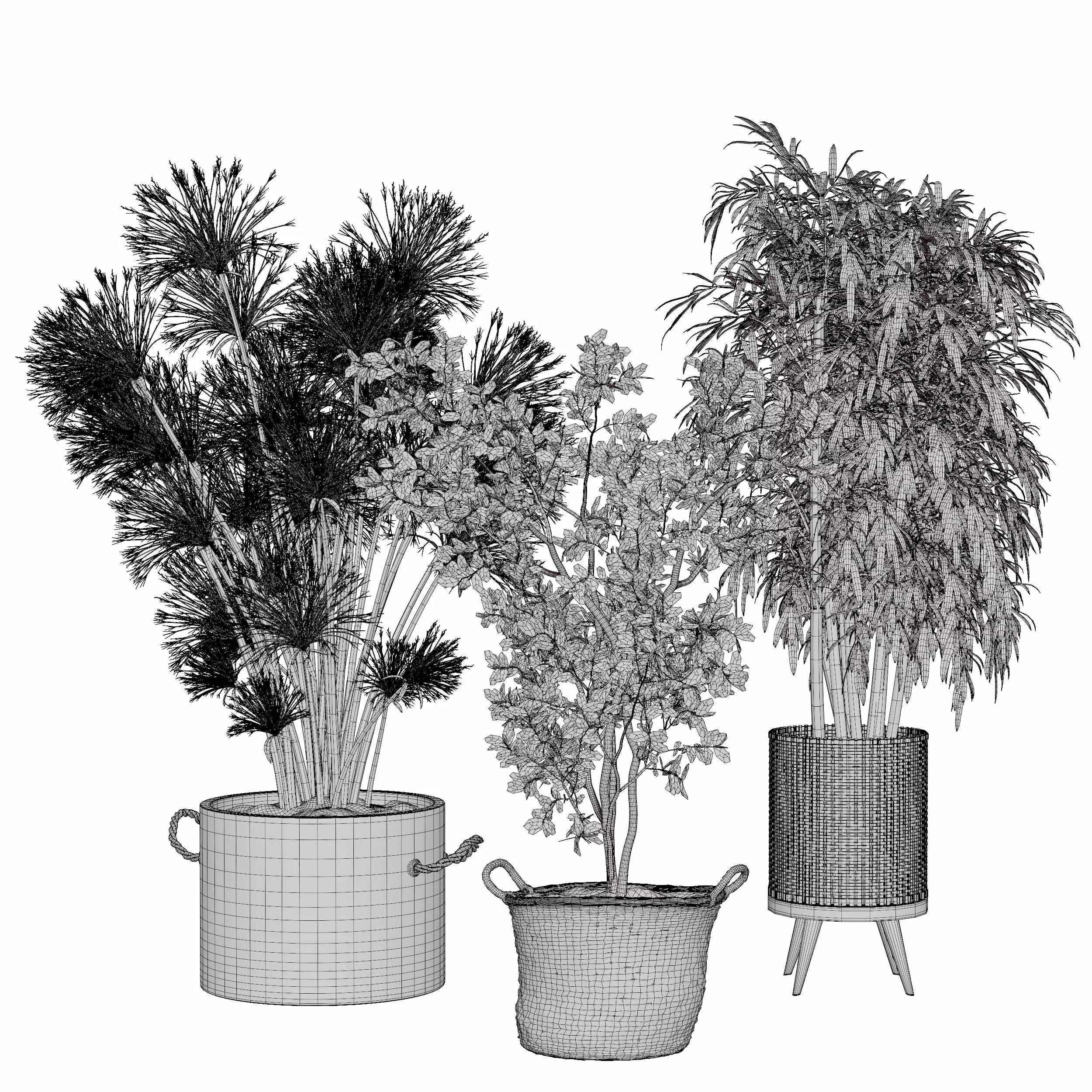 Indoor plant collection 21 3D model_5