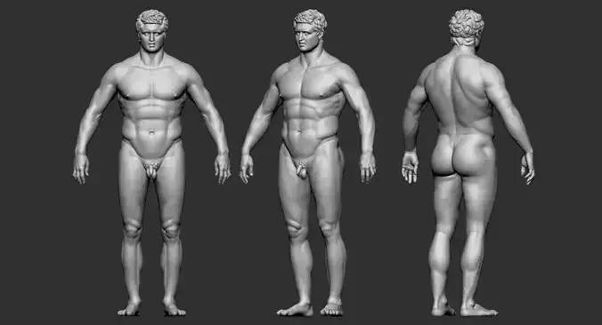 Classical Male Anatomy Base Mesh Sculpted Neo-Classical 3D Model
