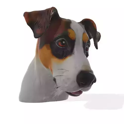 Jack Real Ultra Detailed Dog Head
