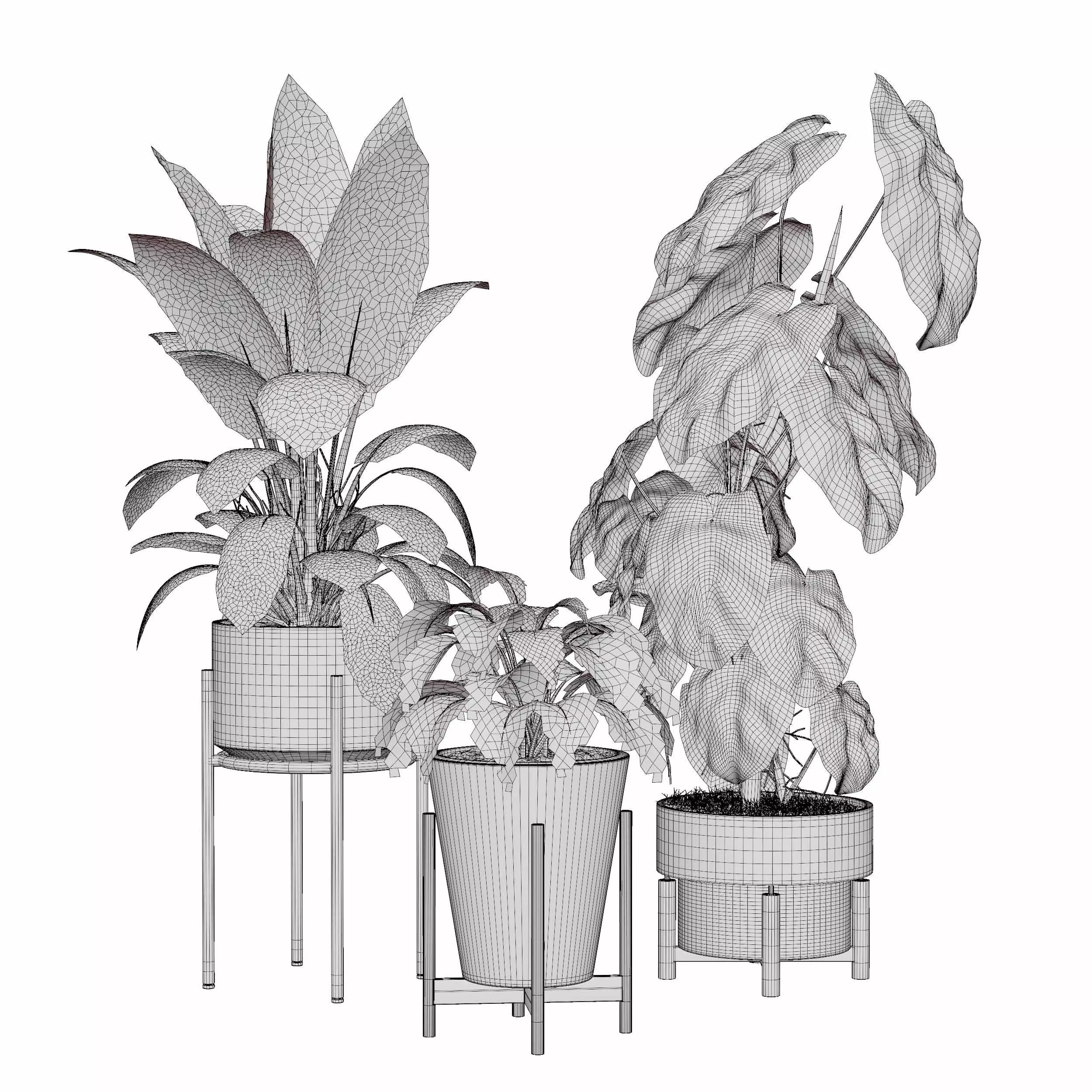 Indoor plant collection 17 3D model_5
