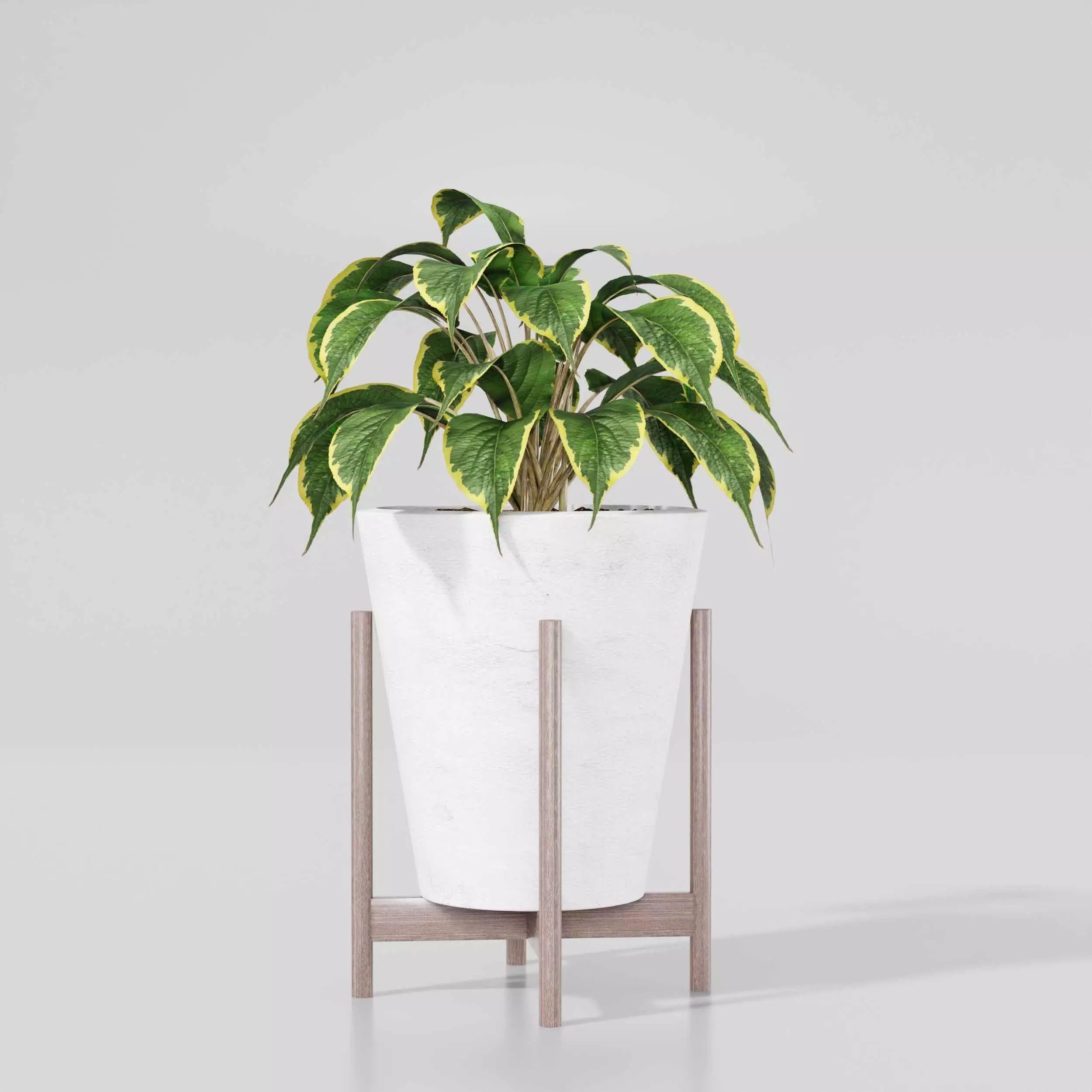 Indoor plant collection 17 3D model_3