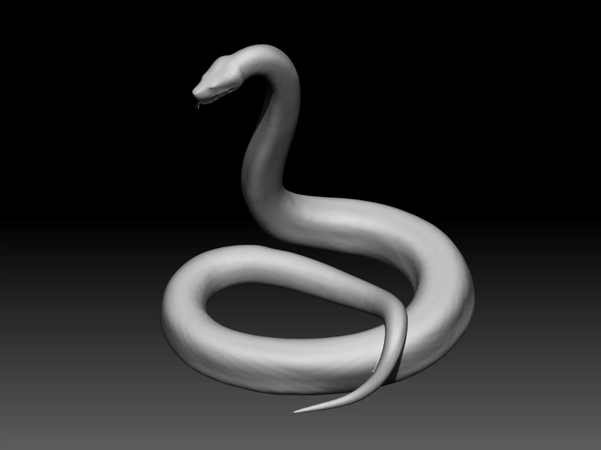 Titanoboa Giant Snake for 3D printing 3D print model_2