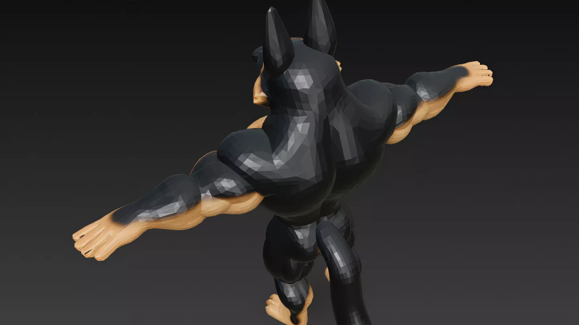 Cartoon Muscular Animals Pack 3D Models Low-poly 3D model_34