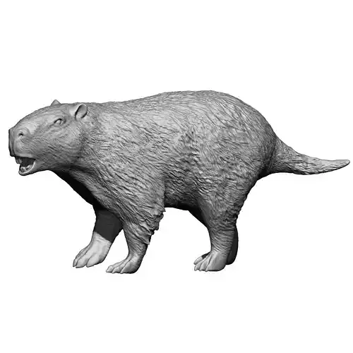 Giant Pacarana Josephoartigasia