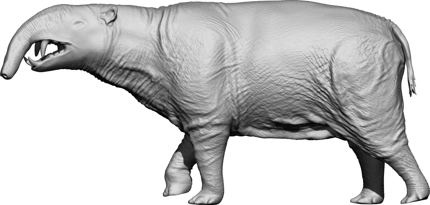 Hilarcotherium for 3D Printing 3D print model_1