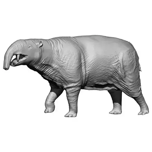 Hilarcotherium  for 3D Printing