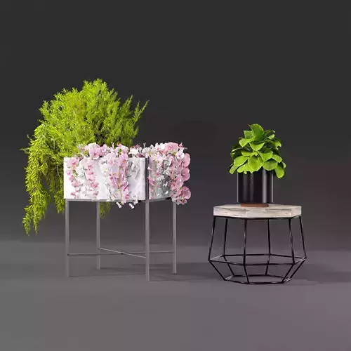 Plant with hanging flower