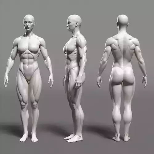 3D Female Character Sculpt 3D model
