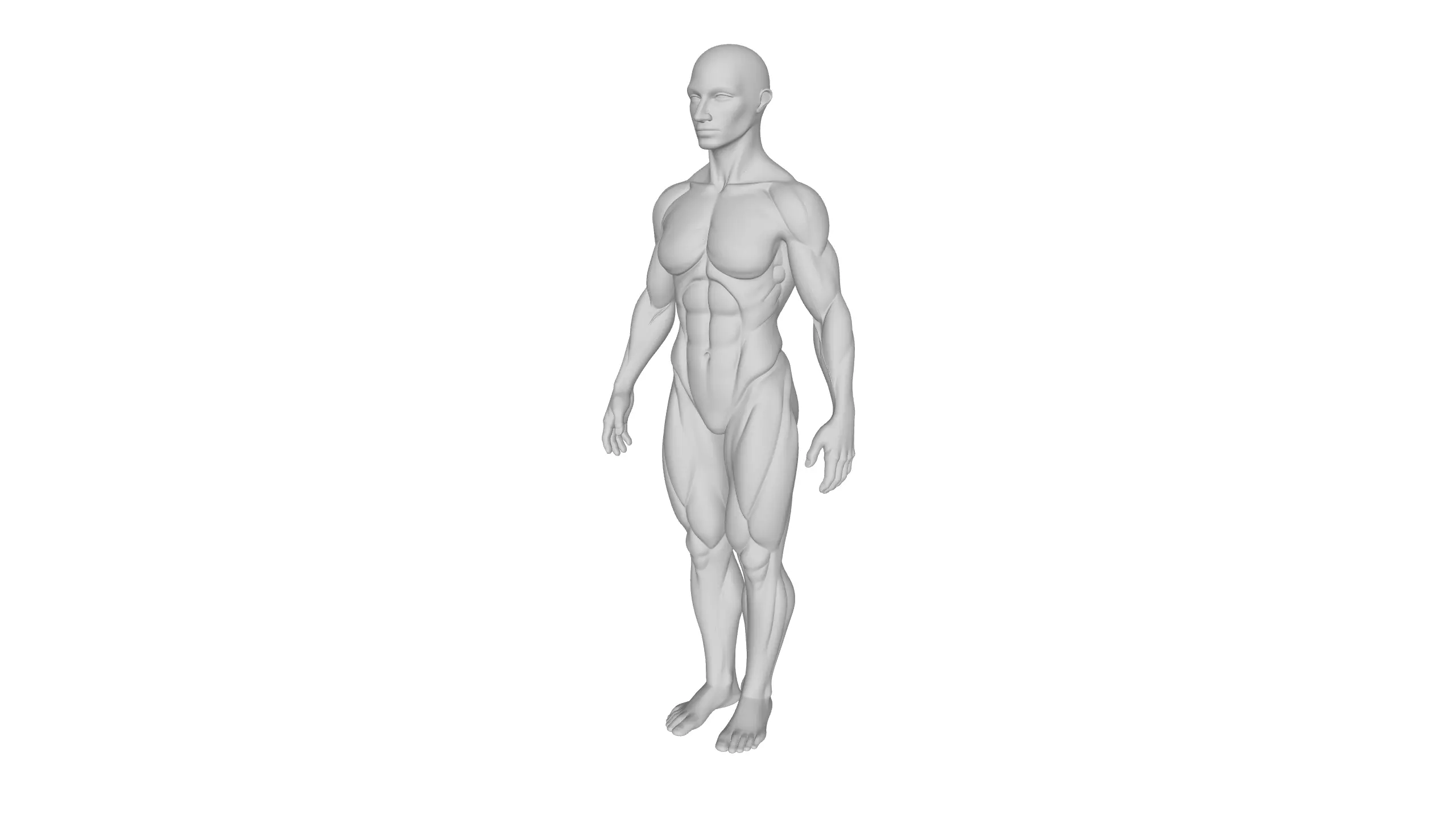 3D Female Character Sculpt 3D model_5