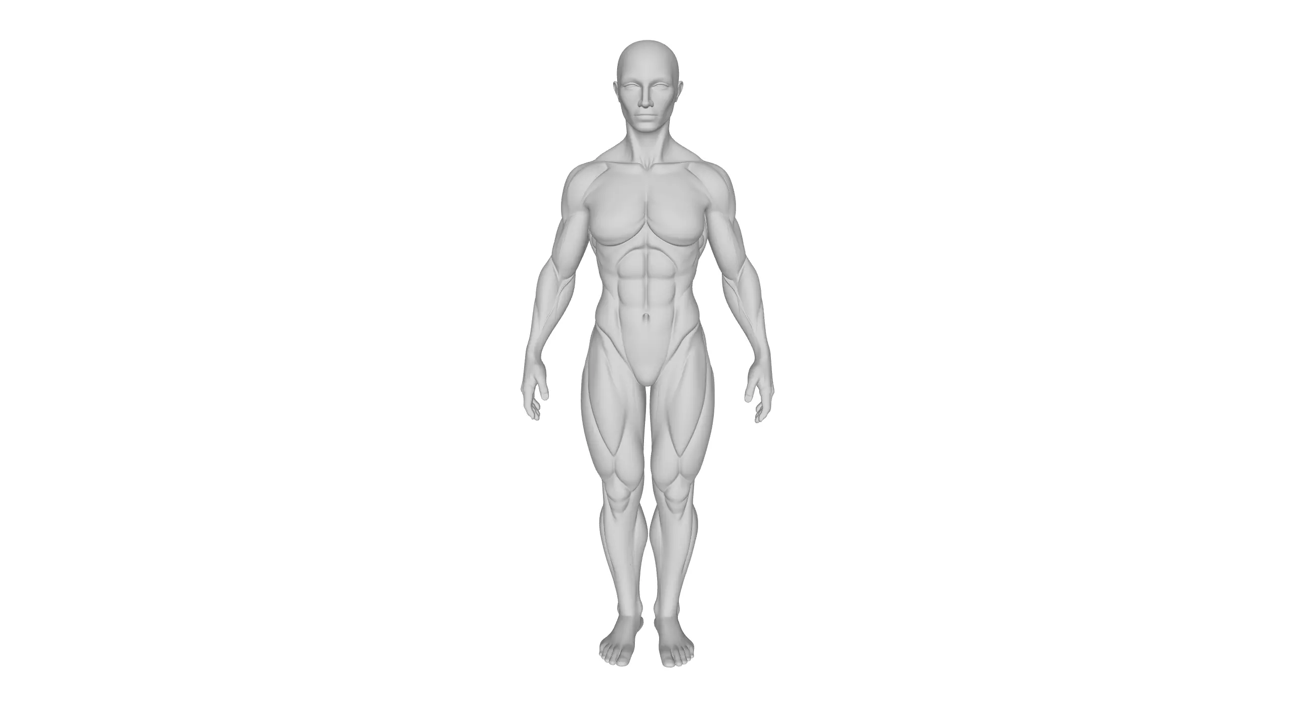 3D Female Character Sculpt 3D model_1