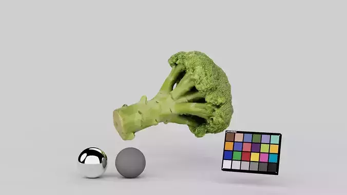 Broccoli 