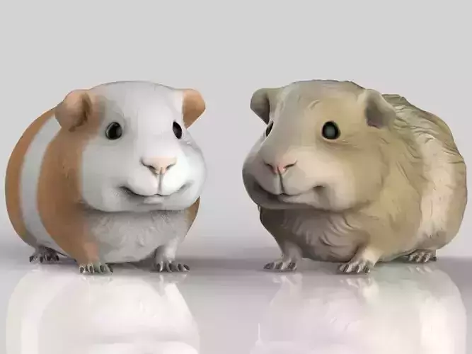 Guinea Pig Realistic