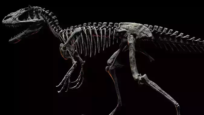 YUTYRANNUS SKELETON TO REAL SIZE