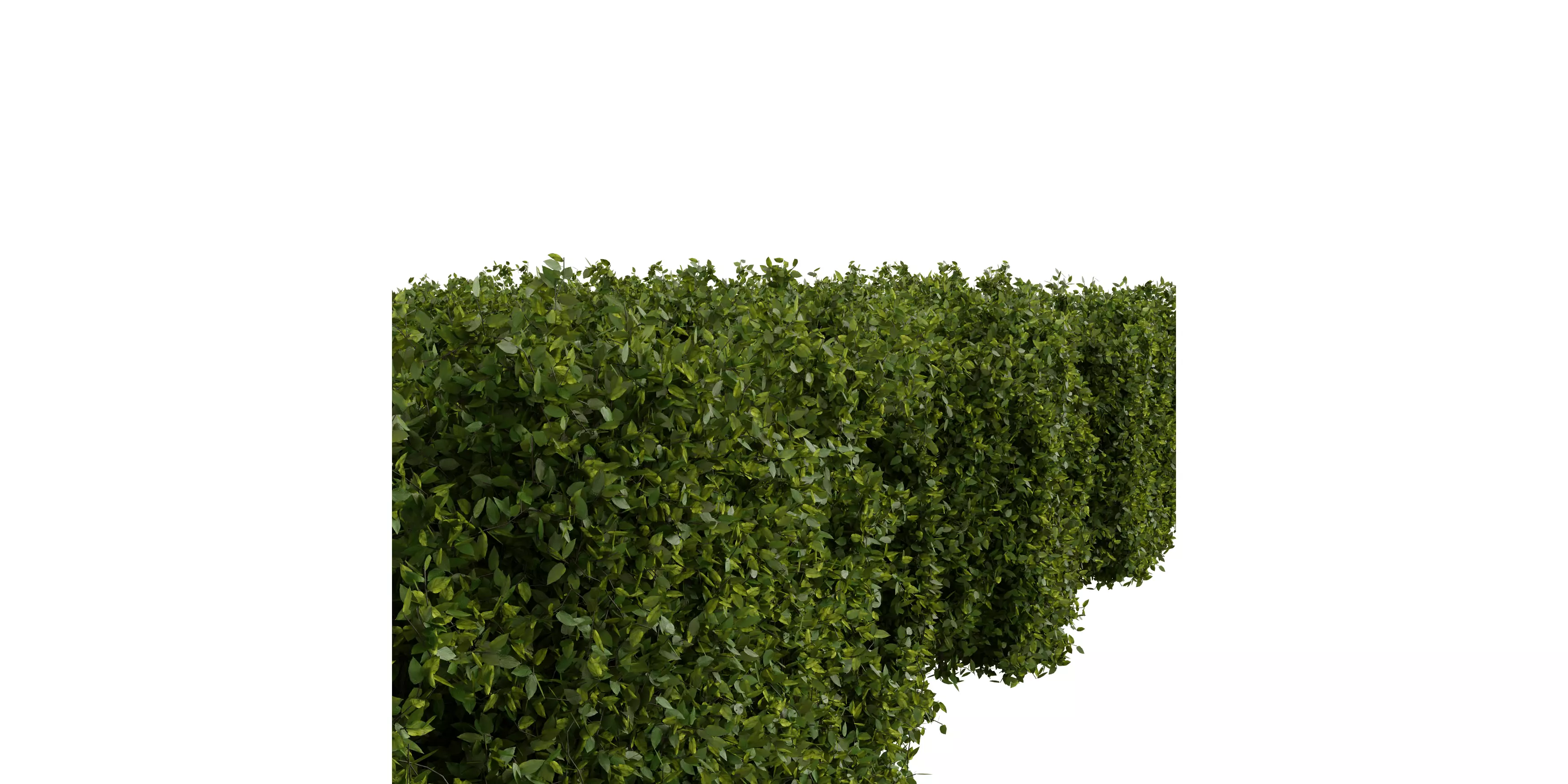 Rough Hedge 1m Free low-poly 3D model_3