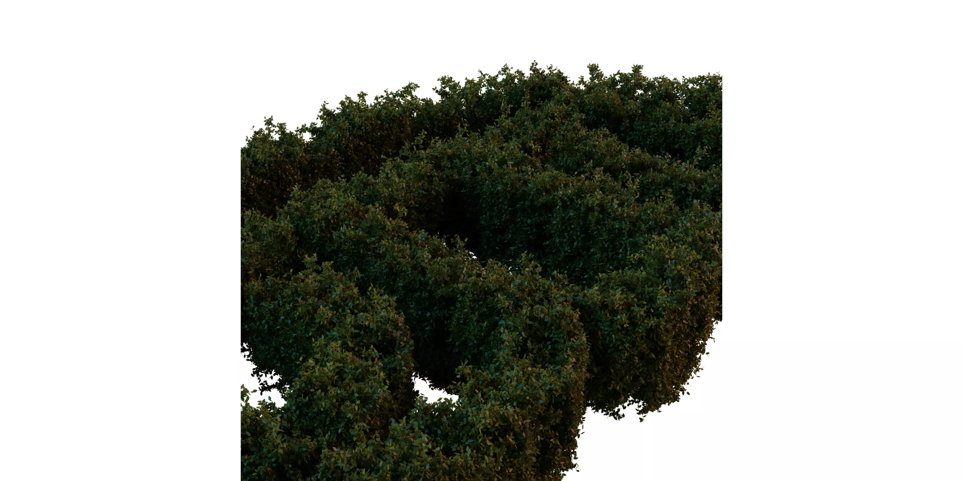 Rough Hedge 1m Free low-poly 3D model_1