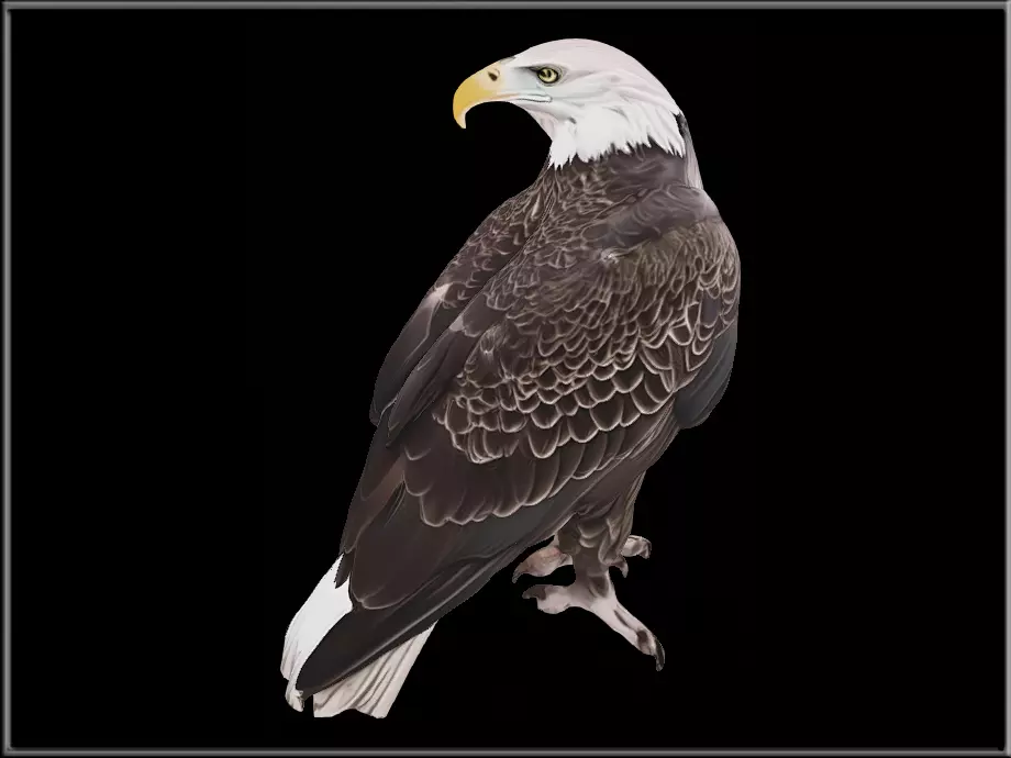 EAGLE 02 Low-poly 3D model
