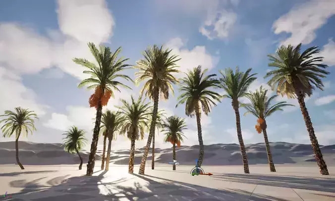 Wind UE5 Plants -Phoenix dactylifera - Date palm HighpolyLowPoly