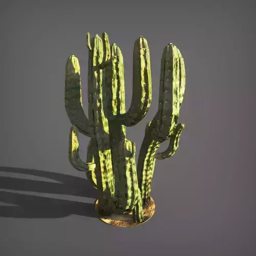 Cactus many arms