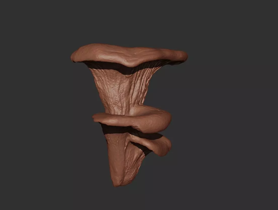Mushroom Wall Art 3D print model_2