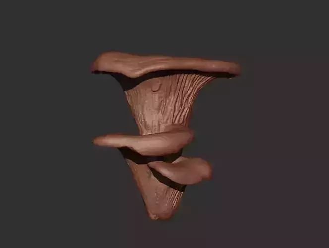 Mushroom Wall Art 3D print model