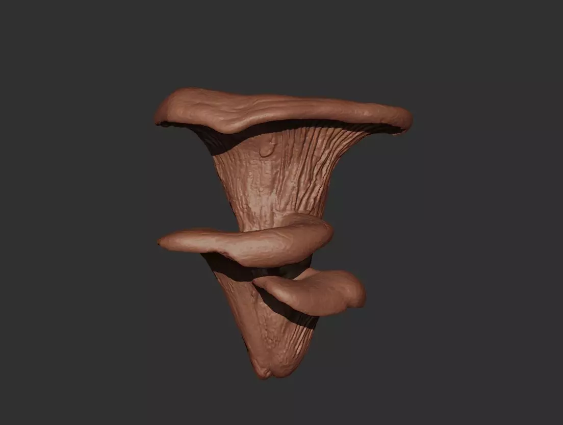 Mushroom Wall Art 3D print model_0