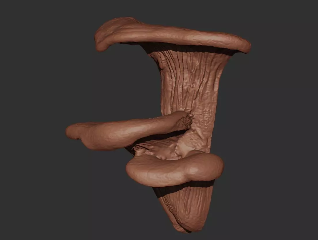 Mushroom Wall Art 3D print model_9