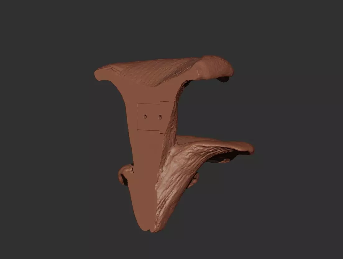 Mushroom Wall Art 3D print model_4