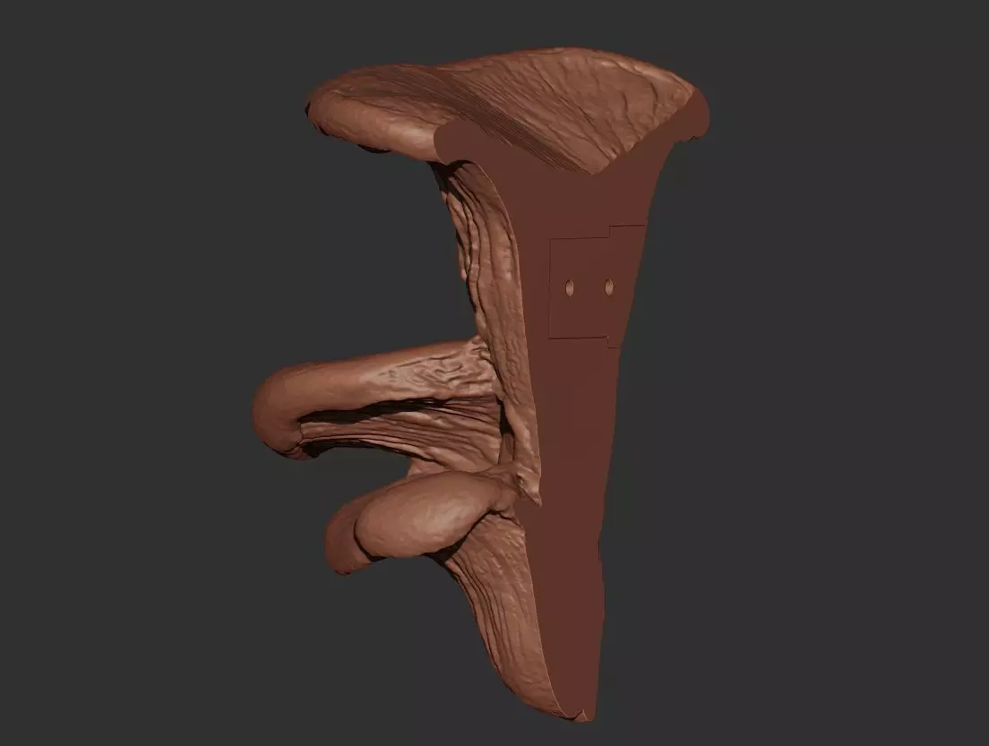 Mushroom Wall Art 3D print model_8