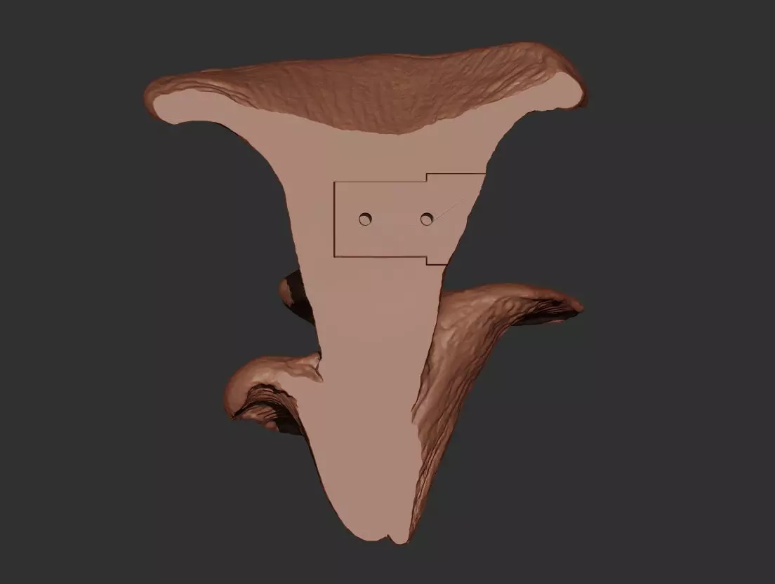 Mushroom Wall Art 3D print model_5