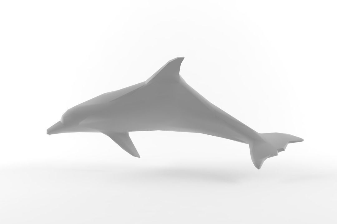 Low Poly Dolphin Low-poly 3D model_1