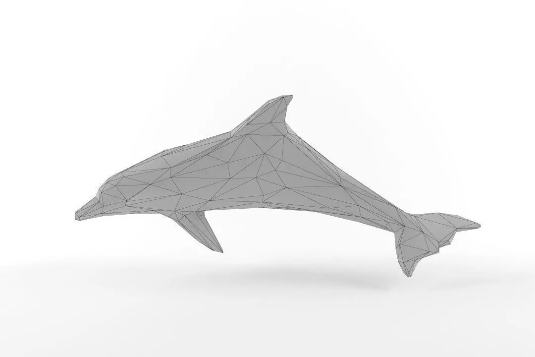 Low Poly Dolphin Low-poly 3D model_0