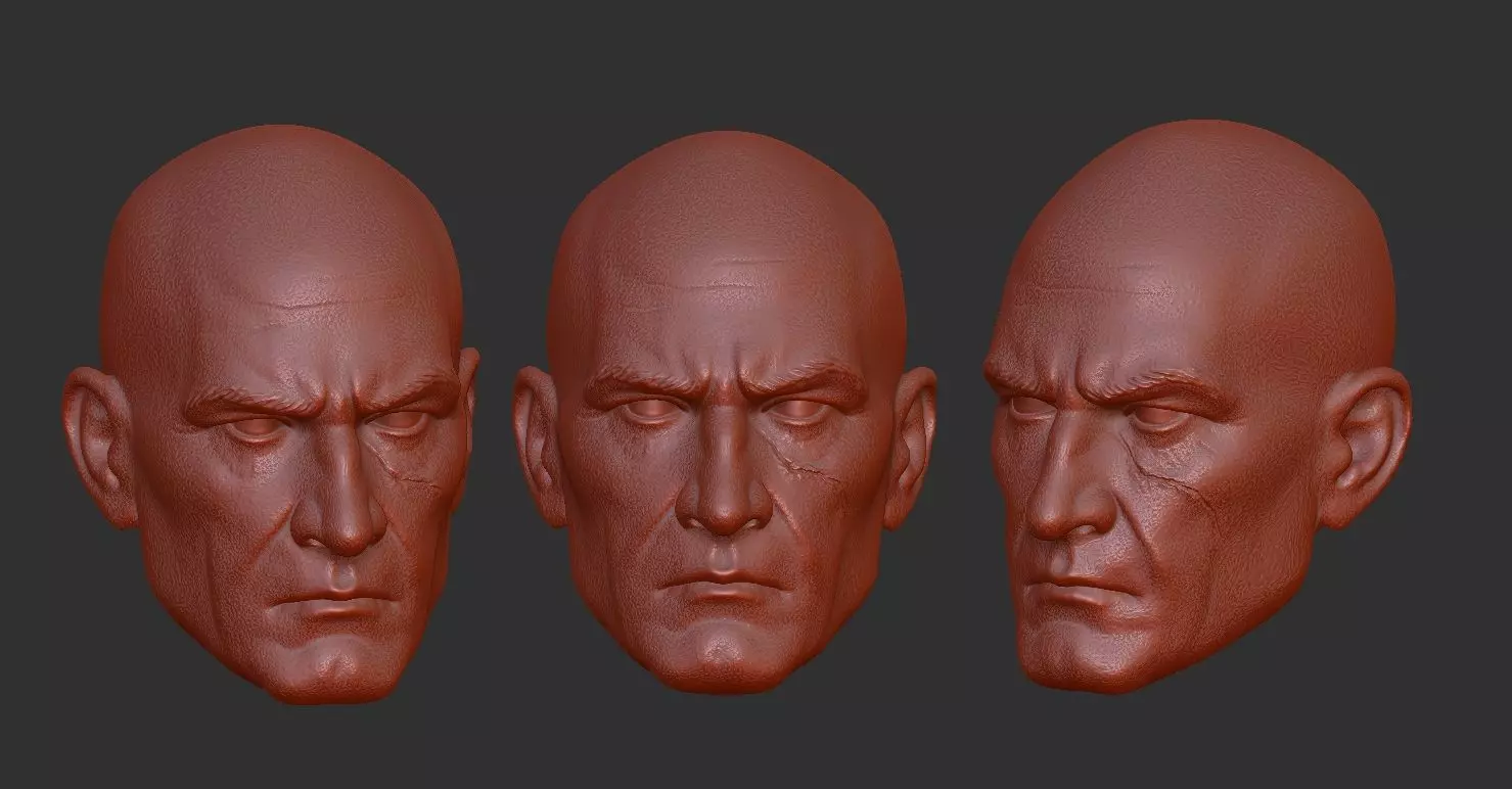 Pre Vizsla Head Sculpt One12 Scale STL Files 3D print model_1