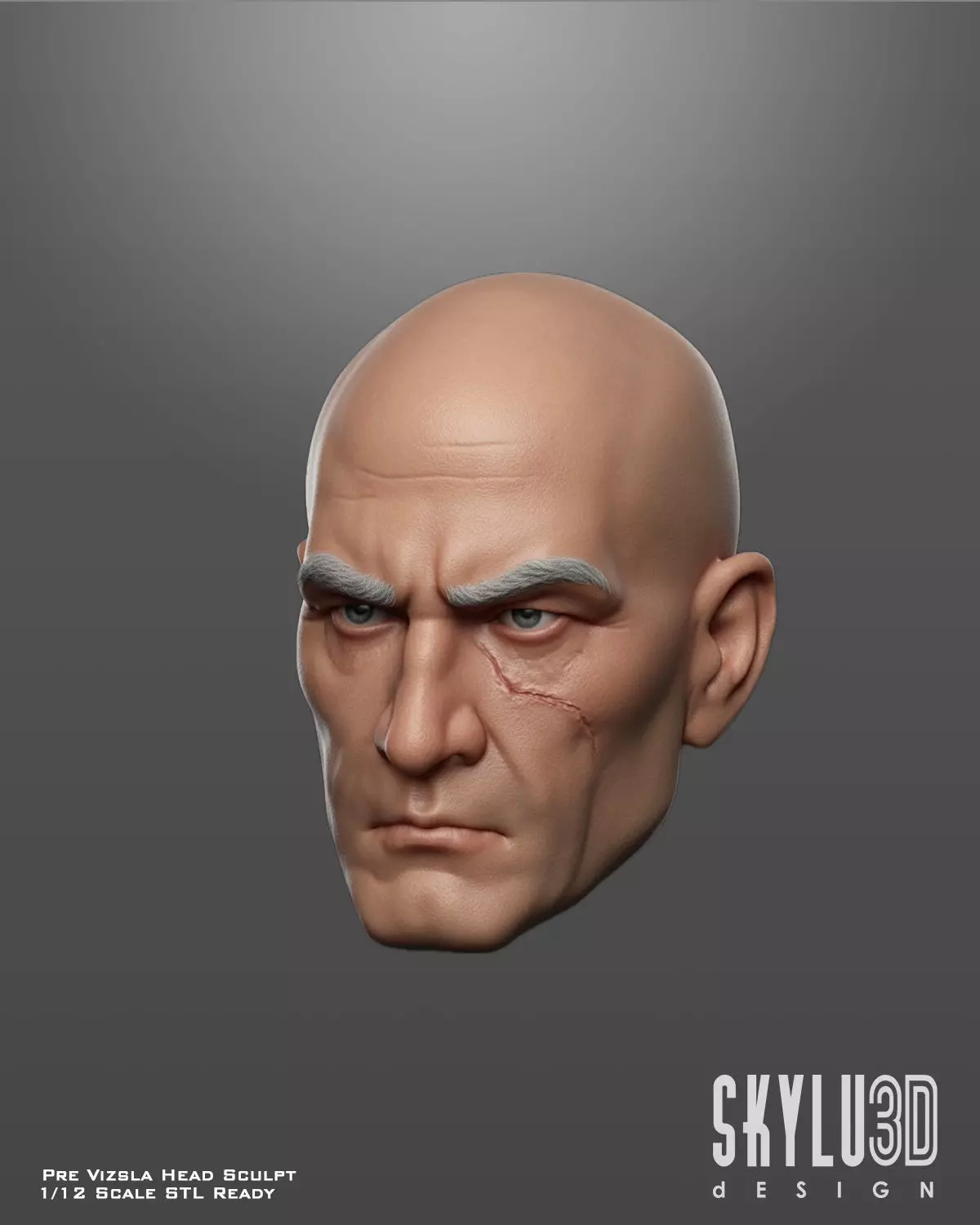 Pre Vizsla Head Sculpt One12 Scale STL Files 3D print model_0