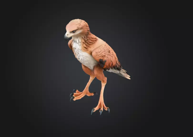 Majestic Hawk Low-poly 3D model_1