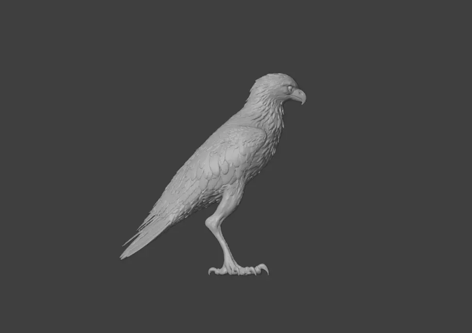 Majestic Hawk Low-poly 3D model_19