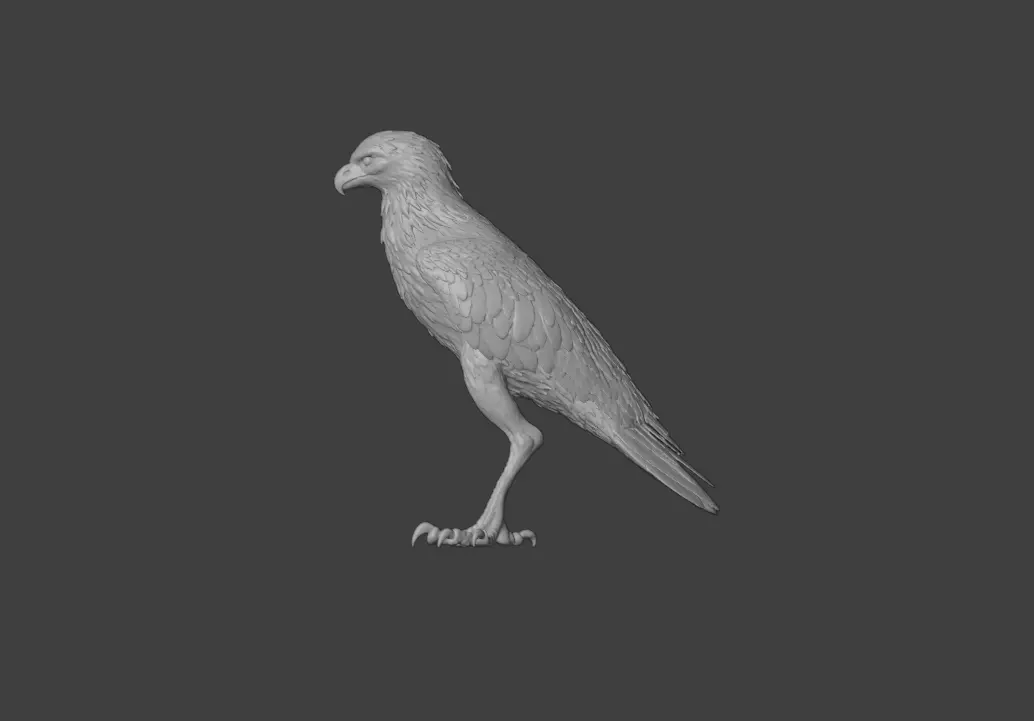Majestic Hawk Low-poly 3D model_21