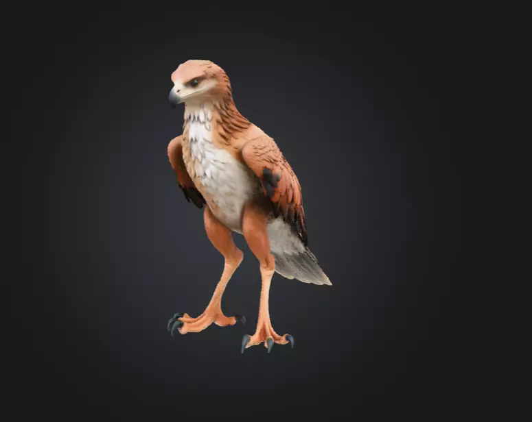 Majestic Hawk Low-poly 3D model_9