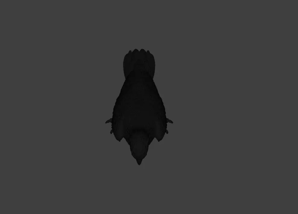 Majestic Hawk Low-poly 3D model_28